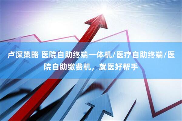 卢深策略 医院自助终端一体机/医疗自助终端/医院自助缴费机，就医好帮手