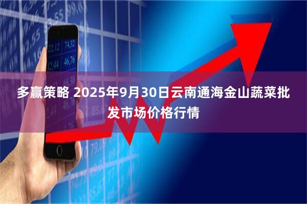 多赢策略 2025年9月30日云南通海金山蔬菜批发市场价格行情